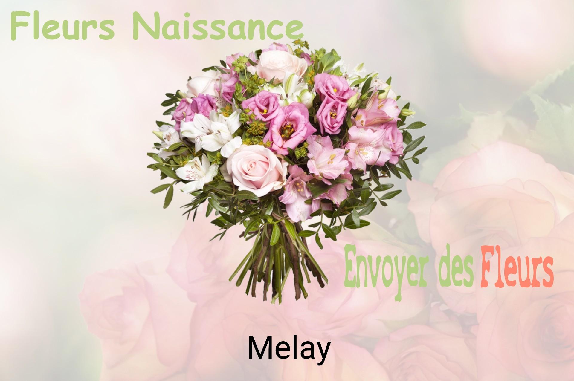 Bouquet de fleurs de naissance livré à Melay